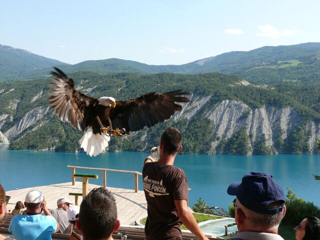 Photo séjour Tourisme et animaux