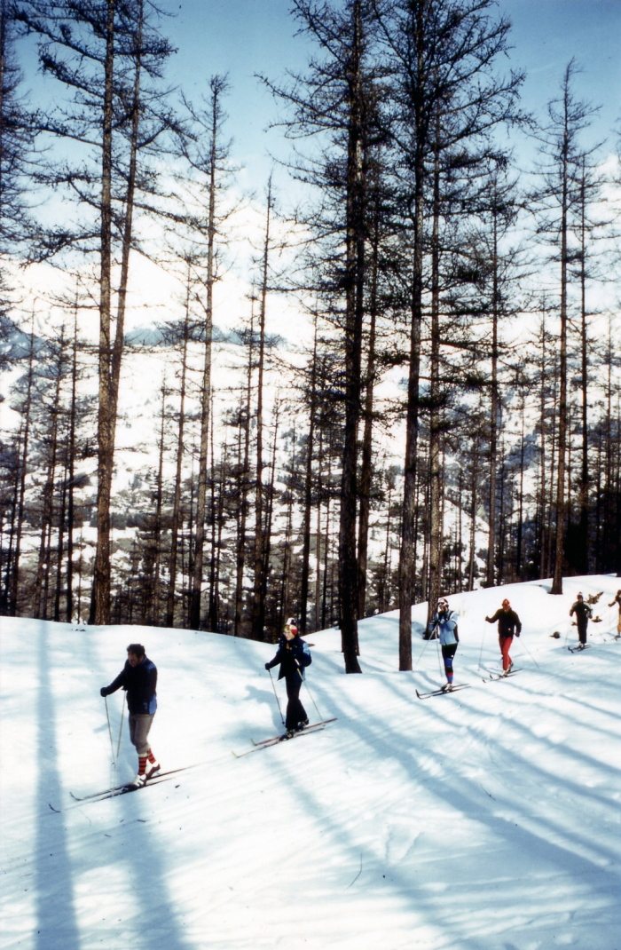 Photo séjour Réveillon ski