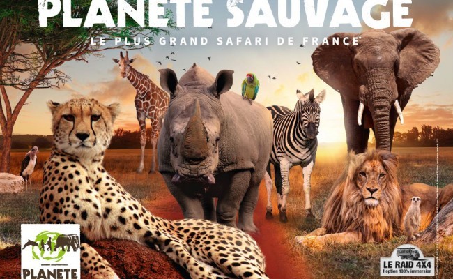 Photo séjour Parc & Animaux en Loire Altlantique