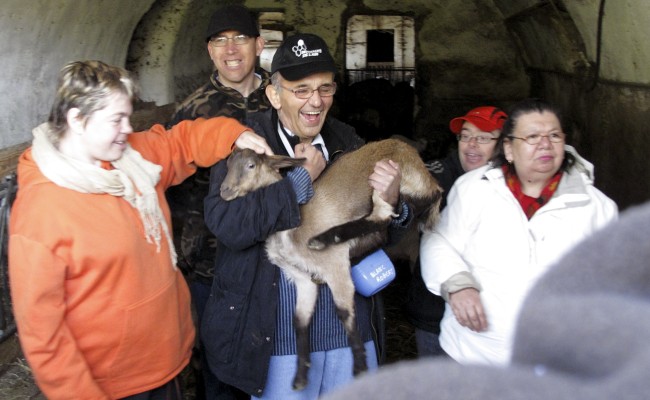 Photo séjour Animaux en fête