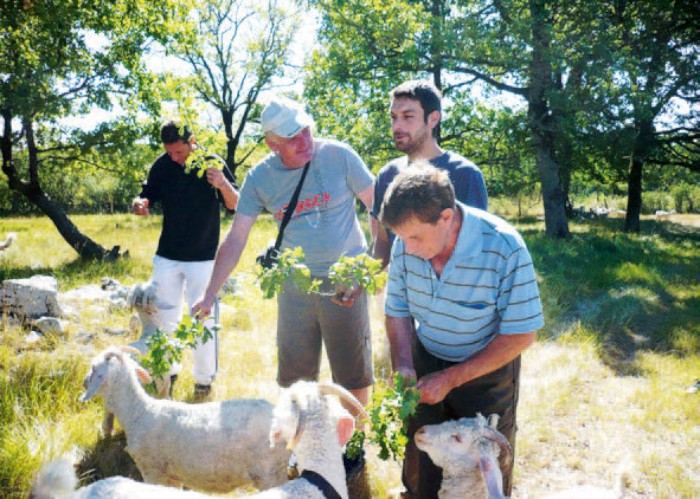 Photo séjour Tourisme et Animaux