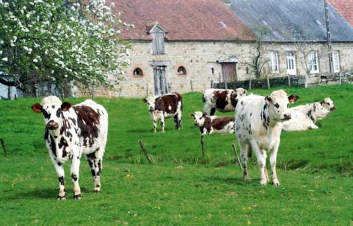 Photo séjour Douceur de vivre en Normandie