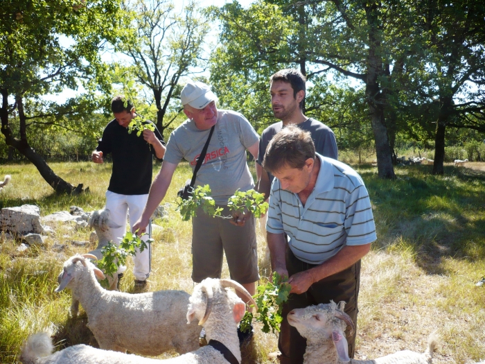 Photo séjour Petit Tour à la Ferme