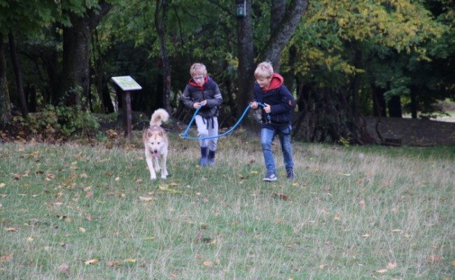 Photo séjour Alpes aventures - cani rando