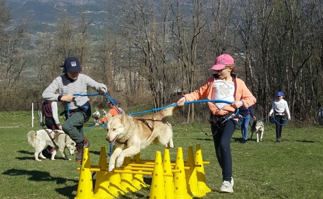 Photo séjour Passion cani-rando