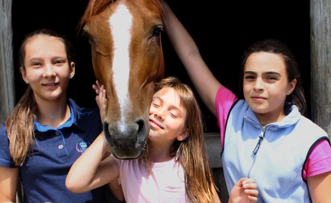 Photo séjour Les ptits soigneurs