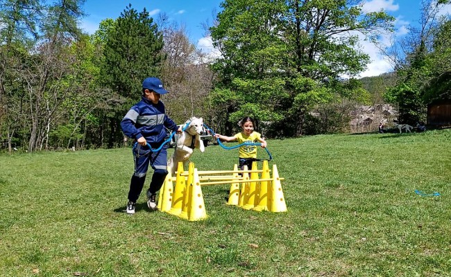 Photo séjour Cani rando & animaux