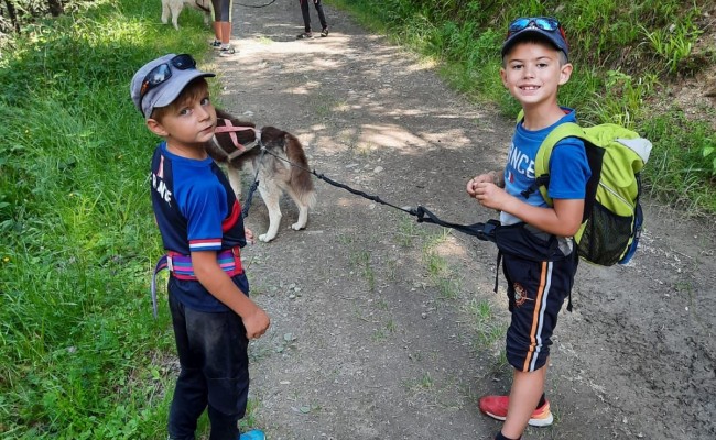 Photo séjour Les petits mushers