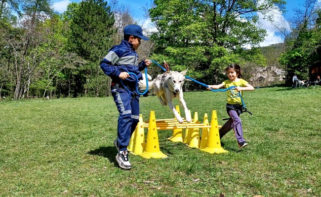 Colo Cocktail aventures junior - Colonie de vacances printemps 2026 Photo séjour Cocktail aventures junior