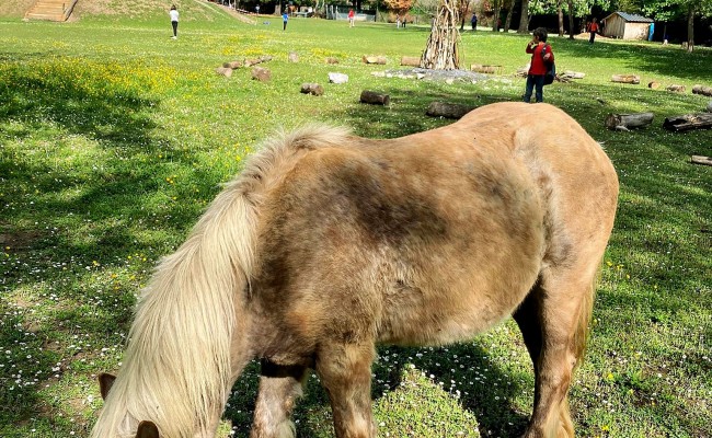 Colo Cocktail aventures junior - Colonie de vacances printemps 2026 Photo séjour Cocktail aventures junior