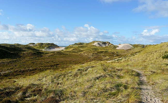 Photo séjour Vélo Road Trip !