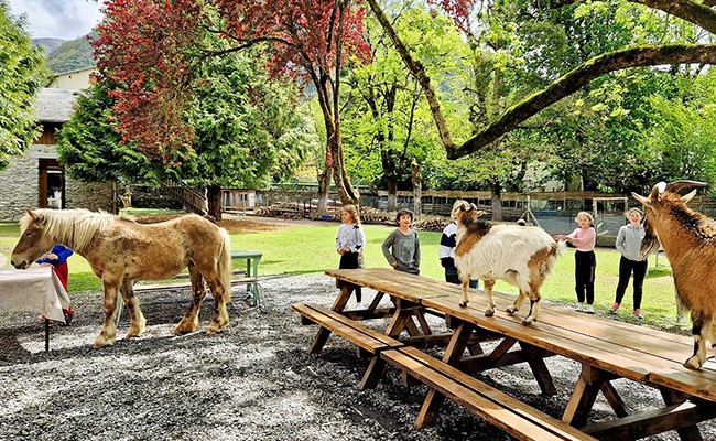 Colo Aventuriers des Pyrénées - Colonie de vacances été 2026 Photo séjour Aventuriers des Pyrénées