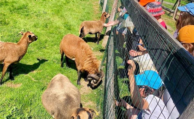 Colo Aventuriers des Pyrénées - Colonie de vacances été 2026 Photo séjour Aventuriers des Pyrénées