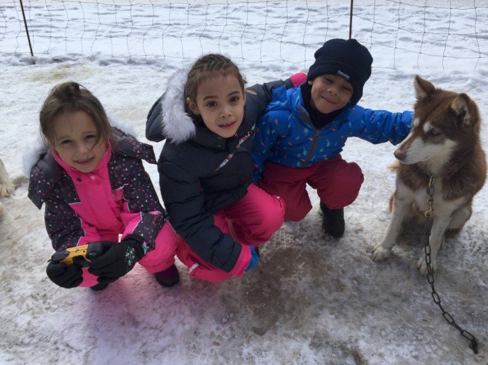 Photo séjour Ski et chiens