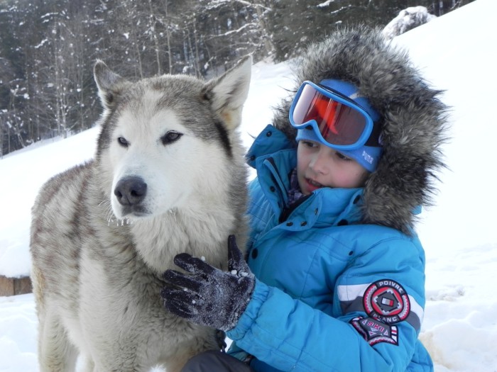 Photo séjour Ski et chiens
