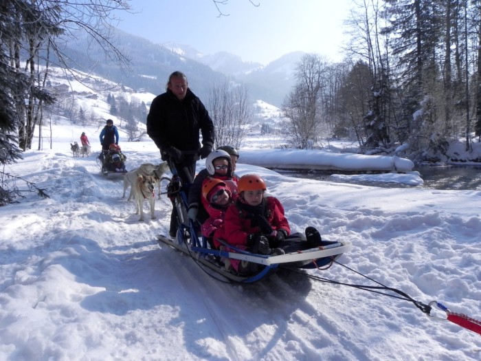 Photo séjour Chiens de traîneau