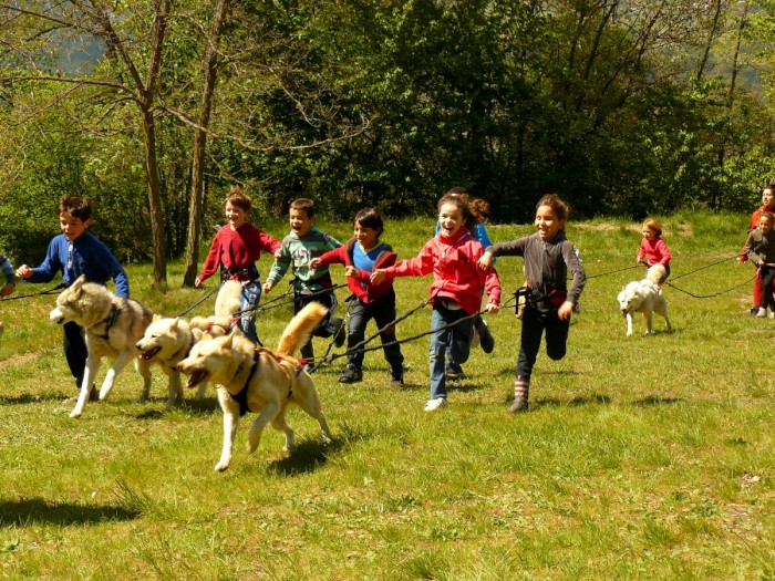 Photo séjour Mushing Addict