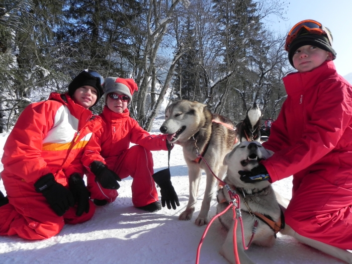 Photo séjour Ski et chiens