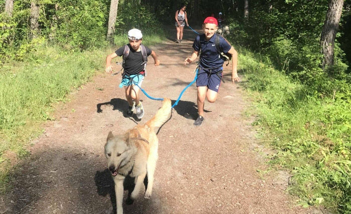 Photo séjour Les apprentis mushers