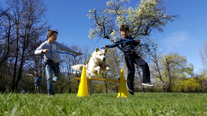 Colo Alpes aventures 7 jours - Colonie de vacances toussaint 2020 Photo séjour Alpes aventures 7 jours