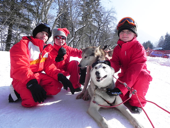 colonie chiens de traîneaux